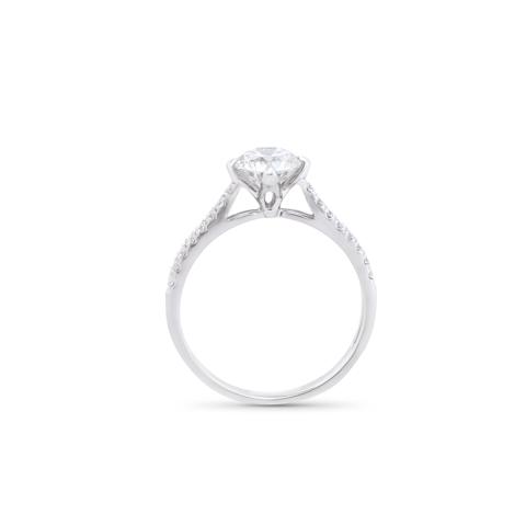 MAR 1741 LDIWG_4.jpg