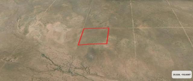 Aerial View West.JPG