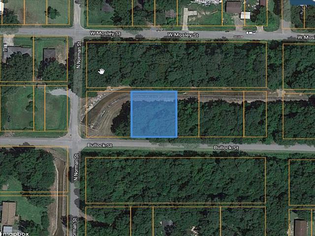 Google Earth Picture of Property - 2