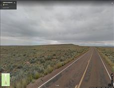 7 Petrified forest and road