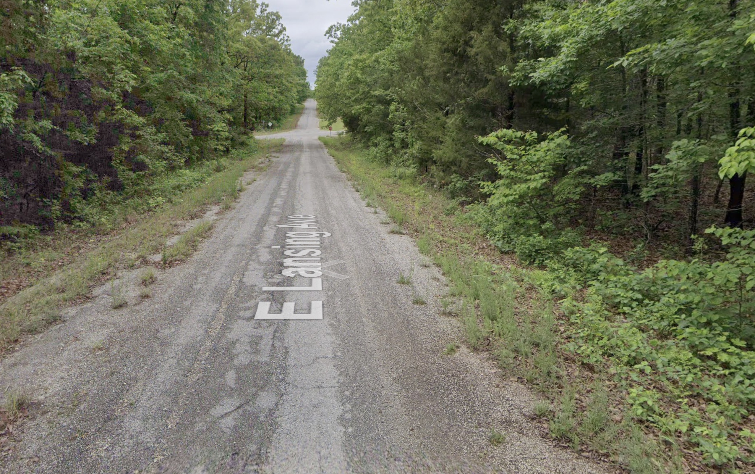 Bid4Assets.com > Auction Detail > (1285481) Horseshoe Bend - 0.29acre ...