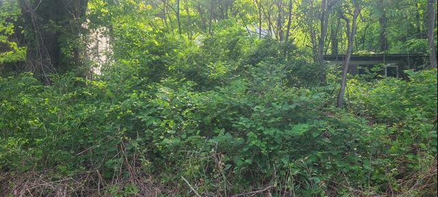 20260519_085902.jpg