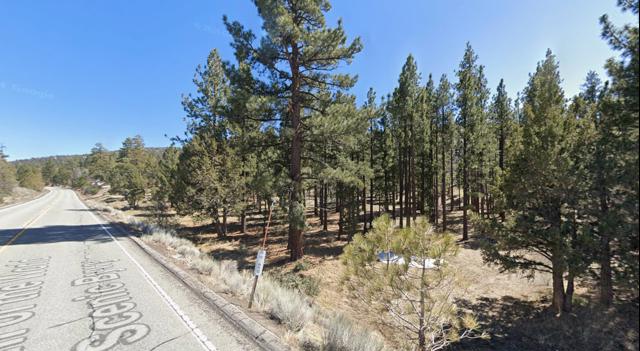 Big Bear 0315-043-16-0000 - 10.jpg