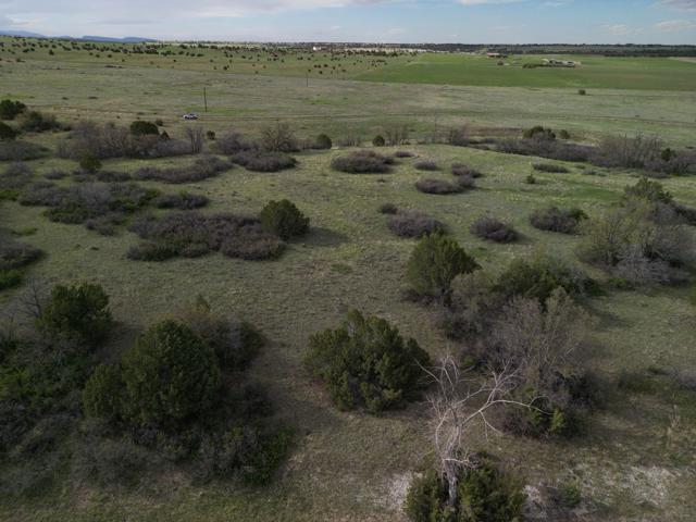 DJI_0907.jpg