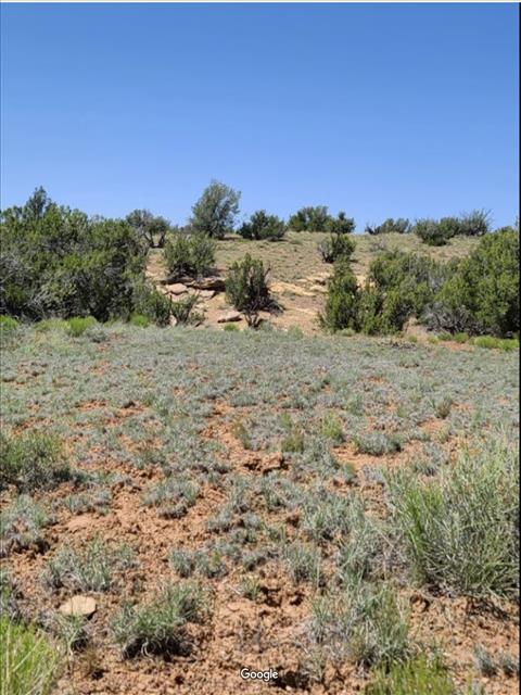 Bid4Assets.com > Auction Detail > (1123069) 40.27 ACRES Road Access! 6 ...