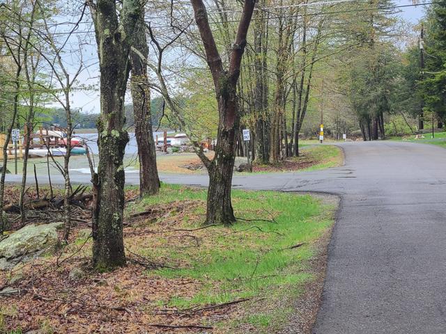 20250506_121453.jpg