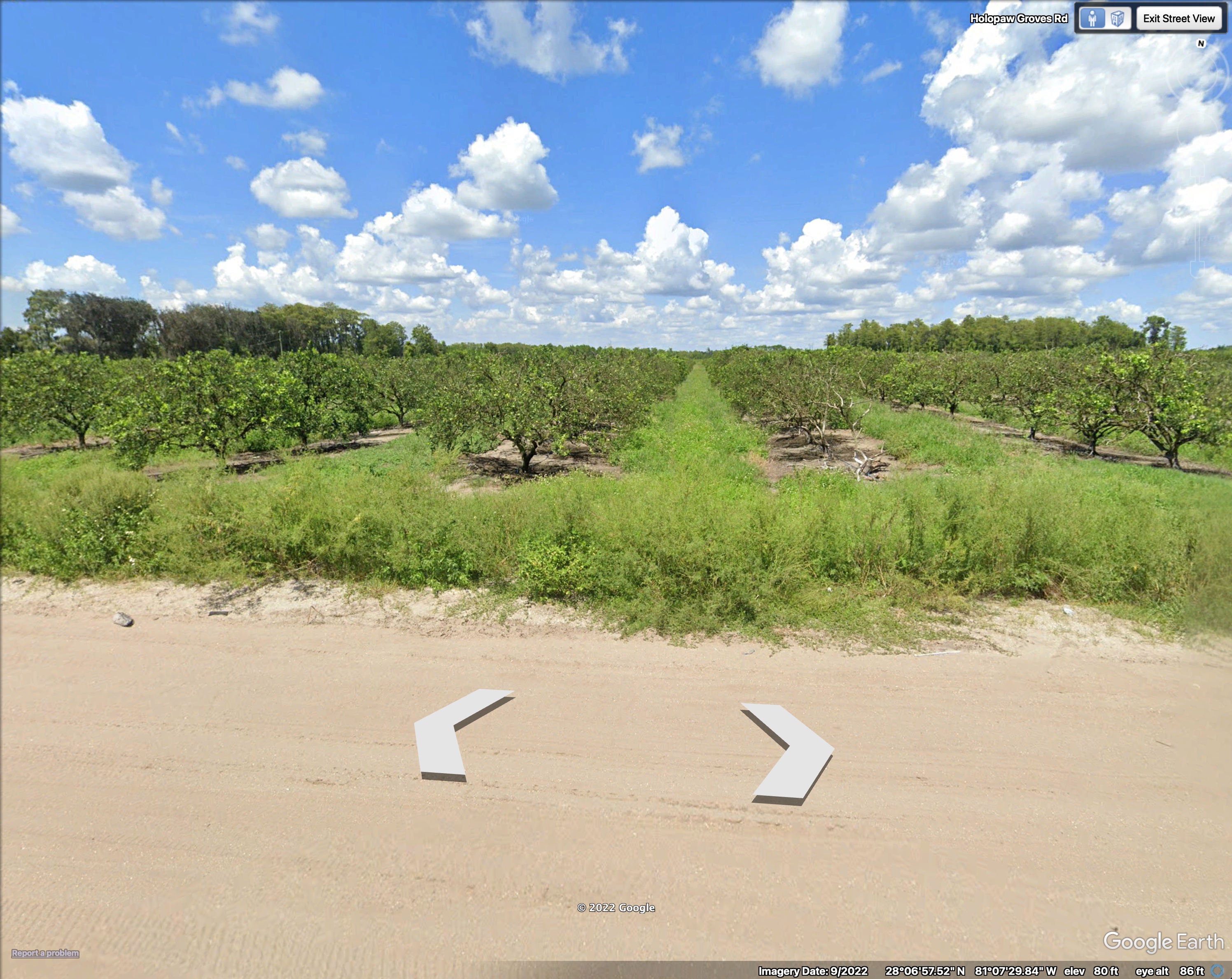 Bid4Assets.com > Auction Detail > (1135886) Central Florida Osceola ...