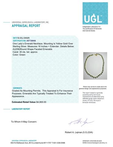 EM 3573866 EM NECKLACE_1.jpg