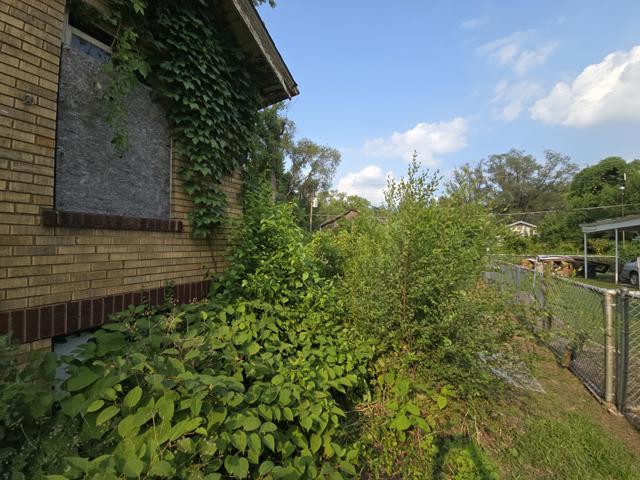 20240724_171654.jpg