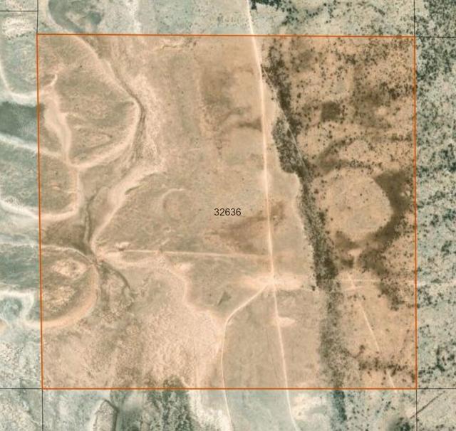 Gua-113.jpg