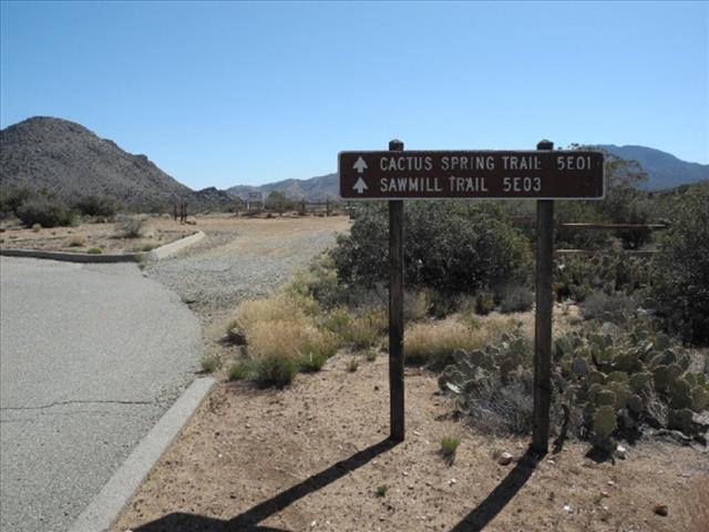 Cactus-Spring-Trail-Sawmill-Trail-1-1024x772