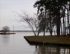 Lake Picture