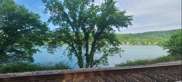 20260519_085942.jpg