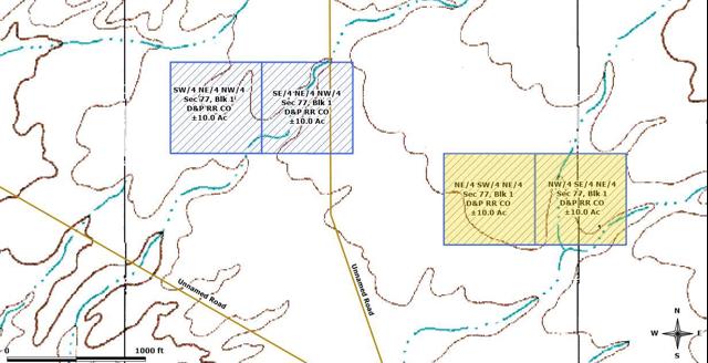 2-24_FourTracts_Sec77_Blk1_DPRR-Topo20.jpg