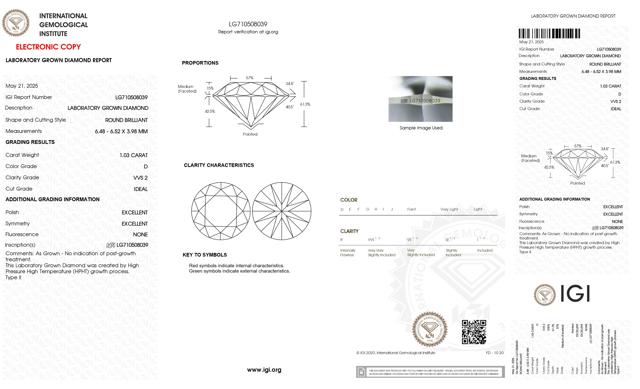 2.06 3580998 STUDS 3_1.jpg