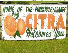 Citra, Florida