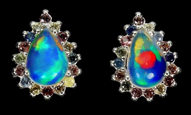 OPAL EAR 3576996_1 SAP2.jpg