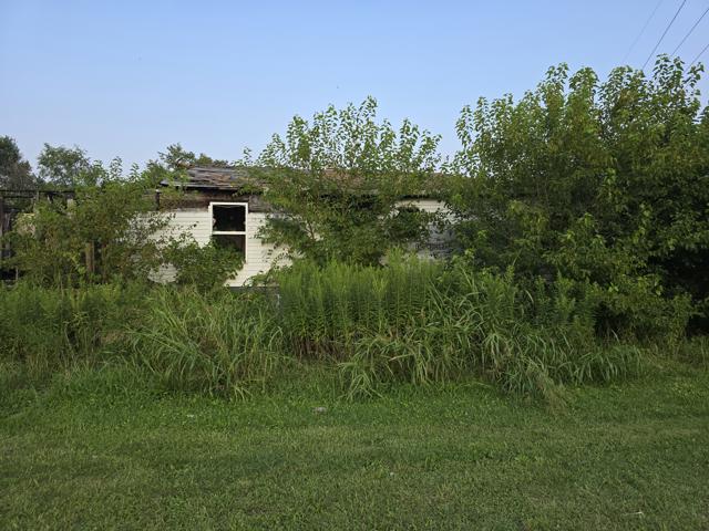 20240723_192927.jpg
