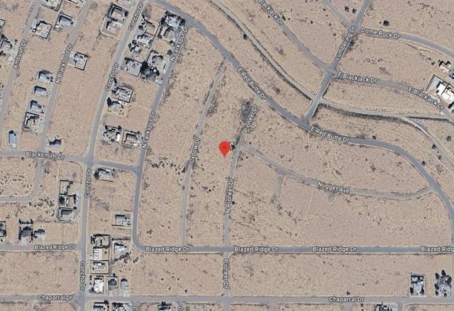 Google satelite view - 2 (1).png