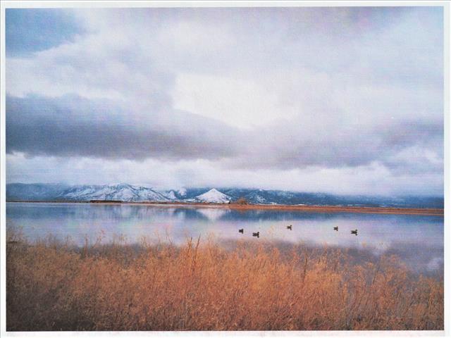 Honey Lake