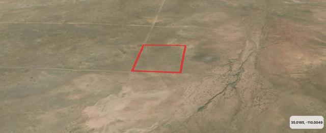 Aerial View South.JPG