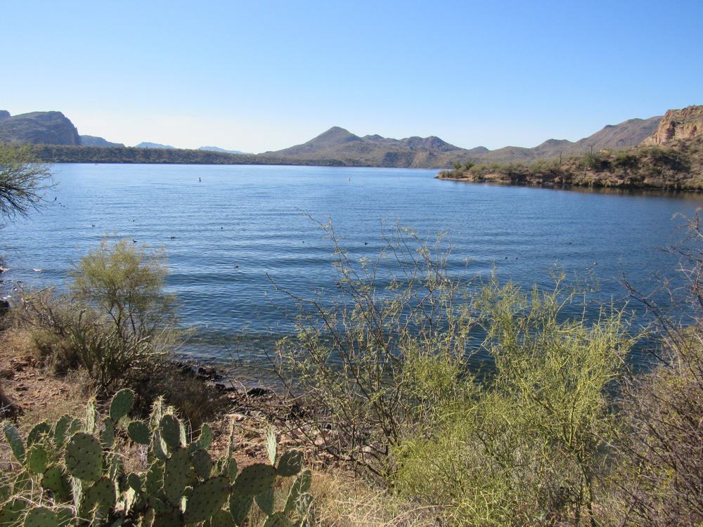 Bid4Assets.com > Auction Detail > (1137962) Secret Springs Dell City ...