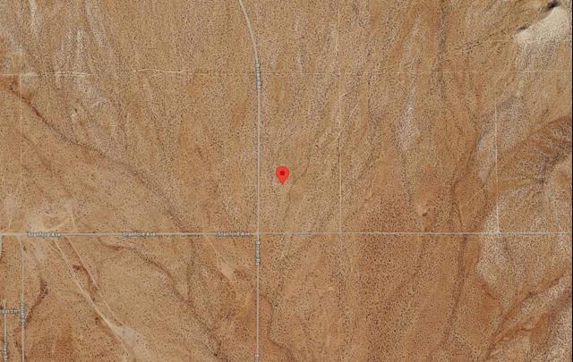 Google satelite image - 3.JPG