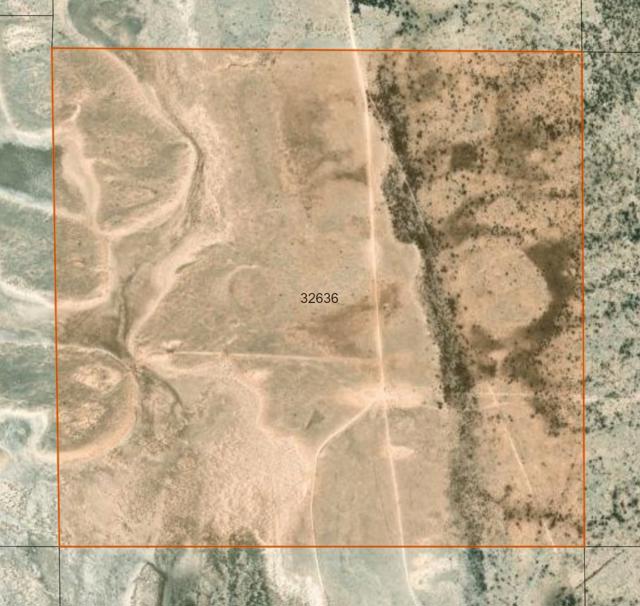 Hudspeth Parcel 32636 pic6.jpg