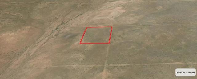 Aerial View North.JPG