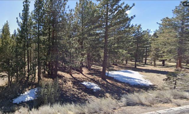 Big Bear 0315-043-16-0000 - 9.jpg