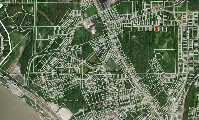 17.jpg