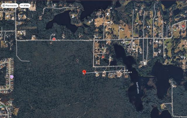 Florida-21.jpg