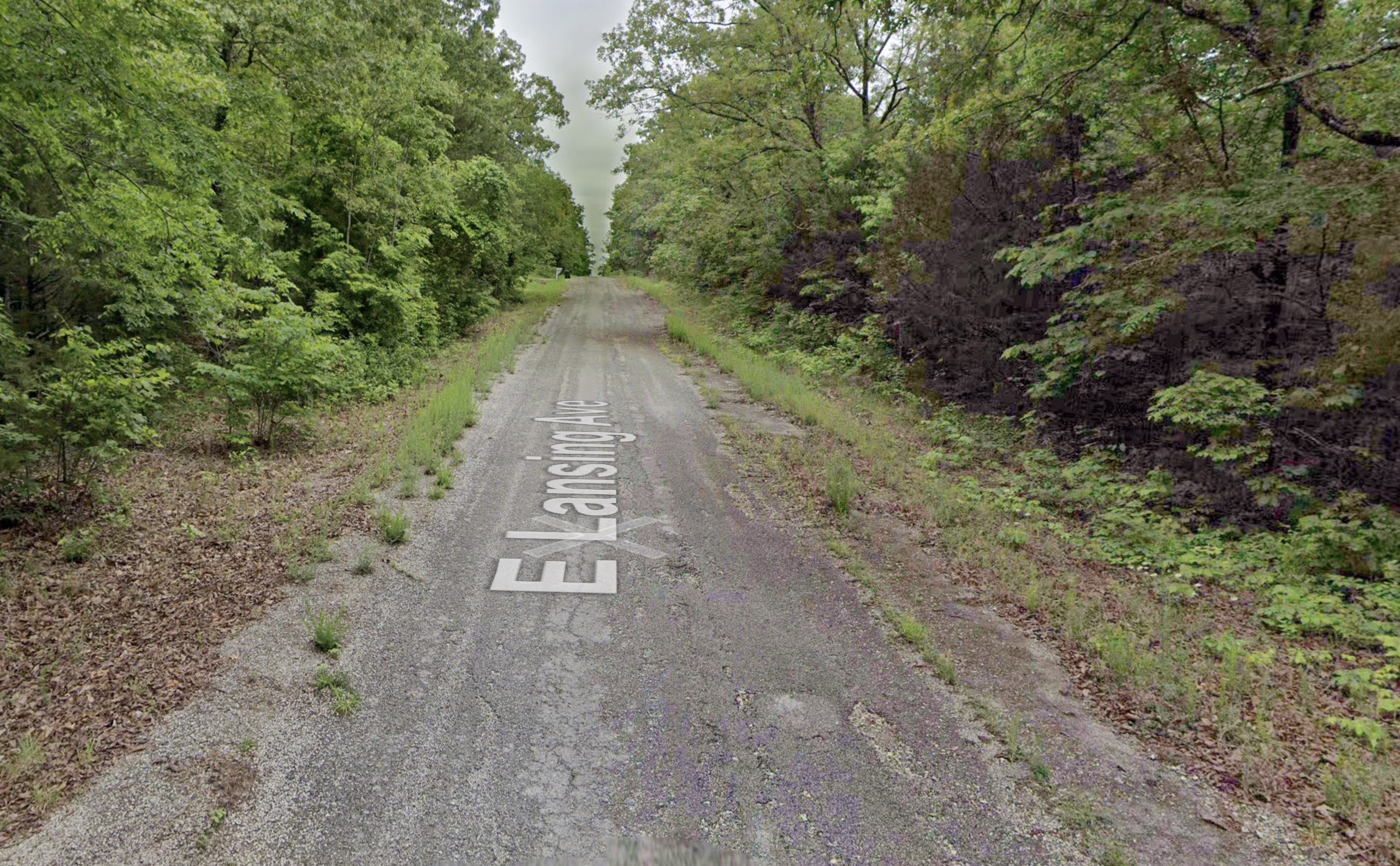 Bid4Assets.com > Auction Detail > (1285481) Horseshoe Bend - 0.29acre ...