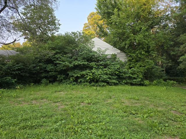 20240723_191441.jpg