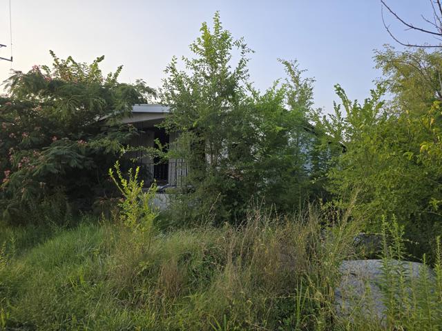20240723_192852.jpg