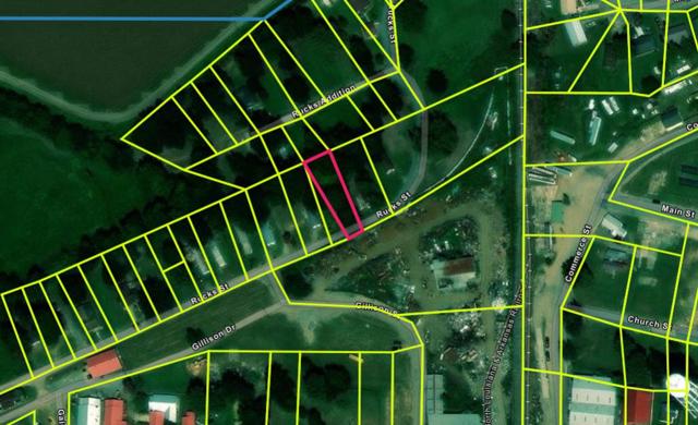 GIS Image - 2.PNG