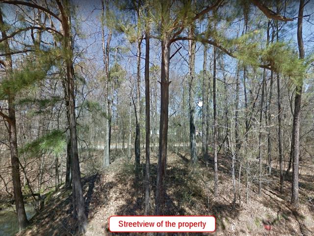 Google Earth Property Picture