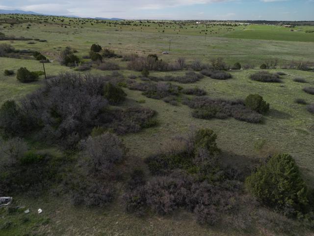DJI_0906.jpg