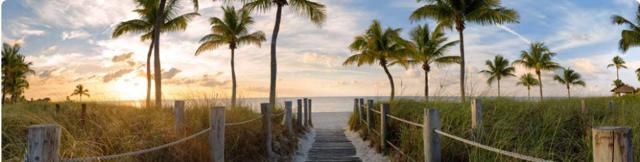 Florida-10.jpg