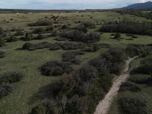 DJI_0900.jpg