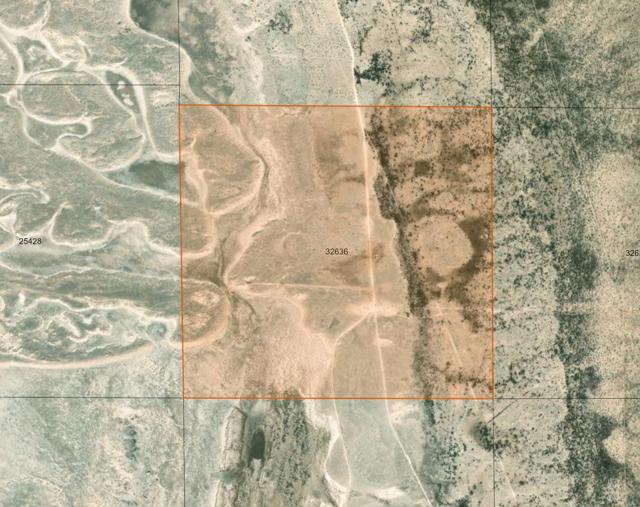 Hudspeth Parcel 32636 pic4.jpg