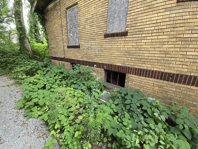20240724_171747.jpg