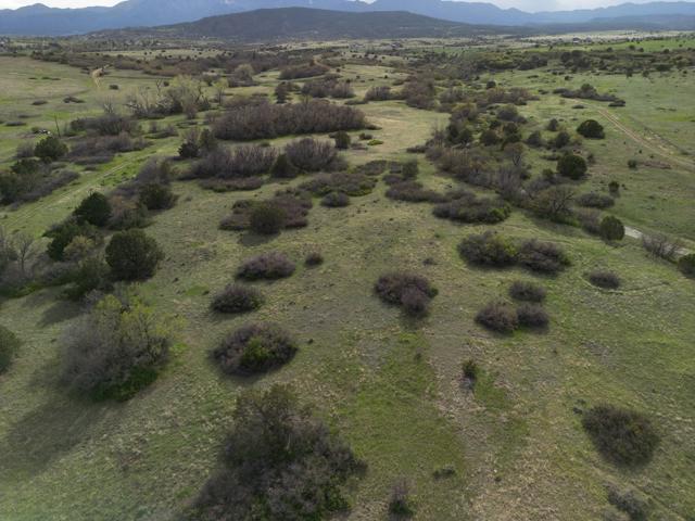 DJI_0903.jpg