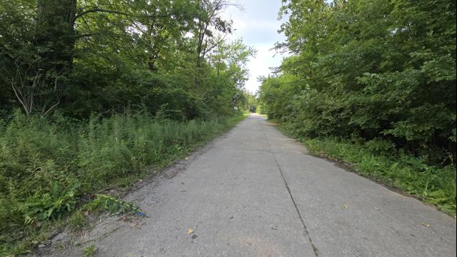 20240724_172718.jpg