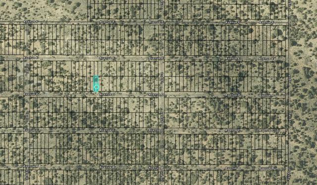 BearMap-005.jpg