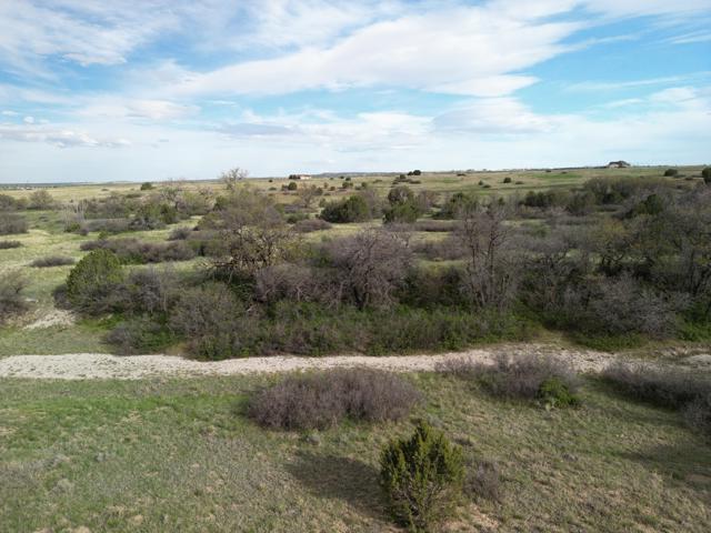 DJI_0911.jpg