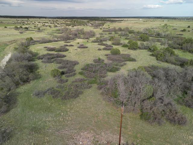 DJI_0908.jpg