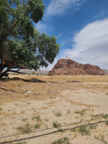 20250517_131319.jpg
