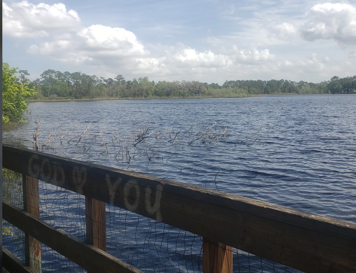 Near Many Lakes , Florida - 2 Adjoining Resident Lots ~ Owner Financing $1.00 Down的来源图片