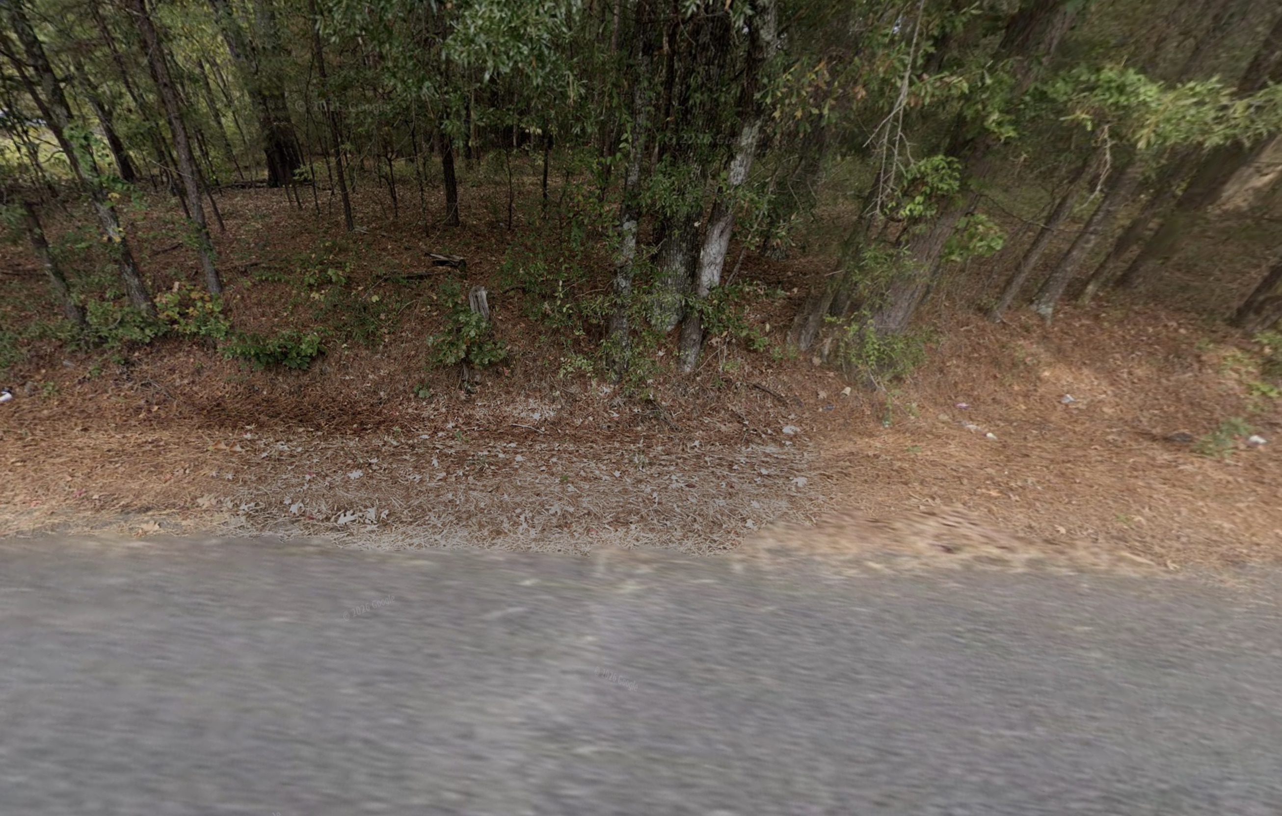 Pine Bluff, AR- 0.12acre Res Lot near the local University of Arkansas的来源图片